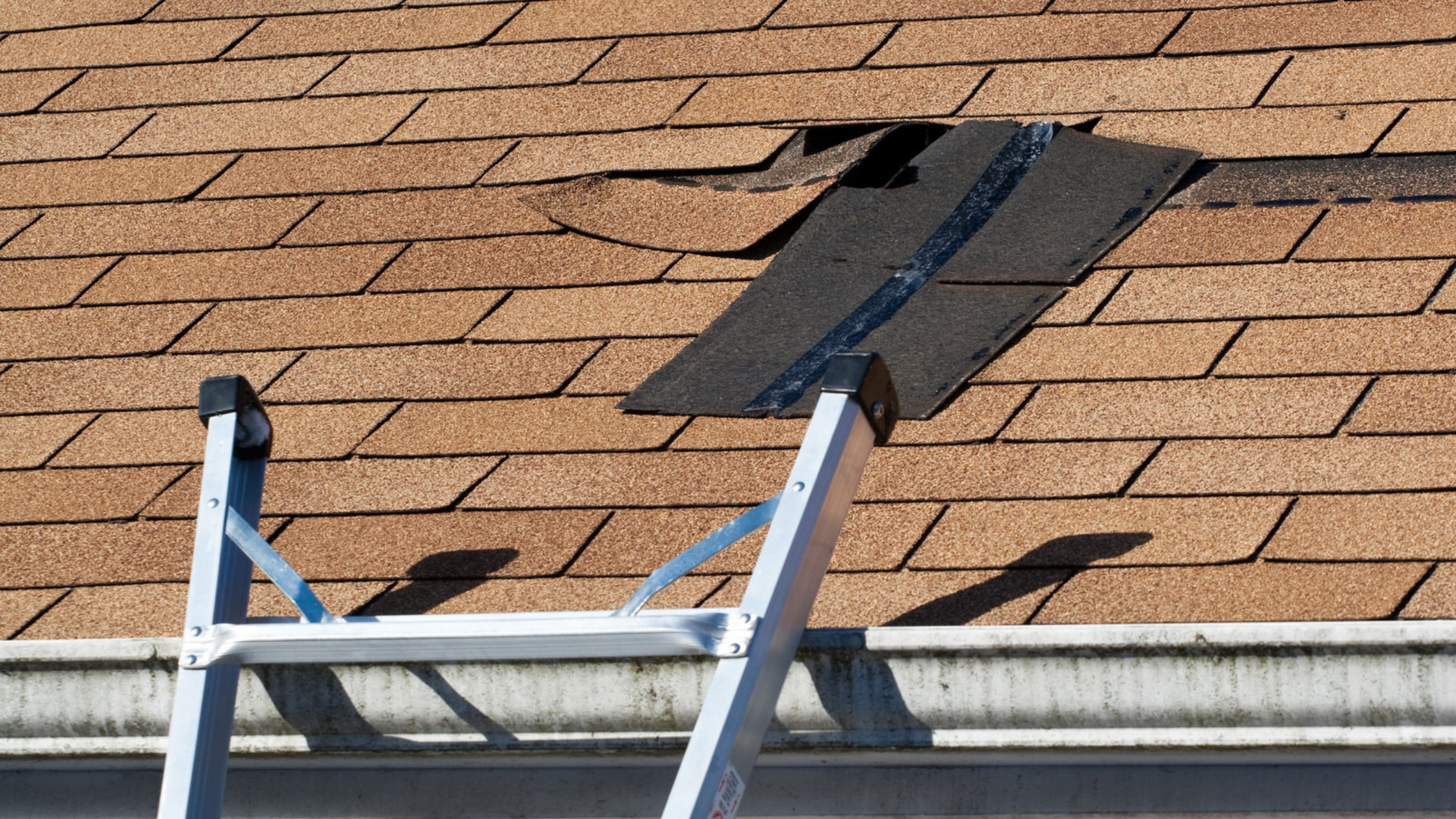 Will Missing Roof Shingles Cause A Leak? Briggs Roofing