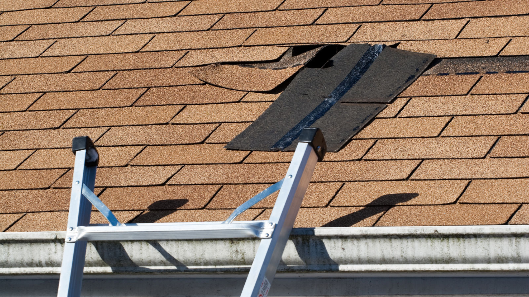 will-missing-roof-shingles-cause-a-leak-briggs-roofing